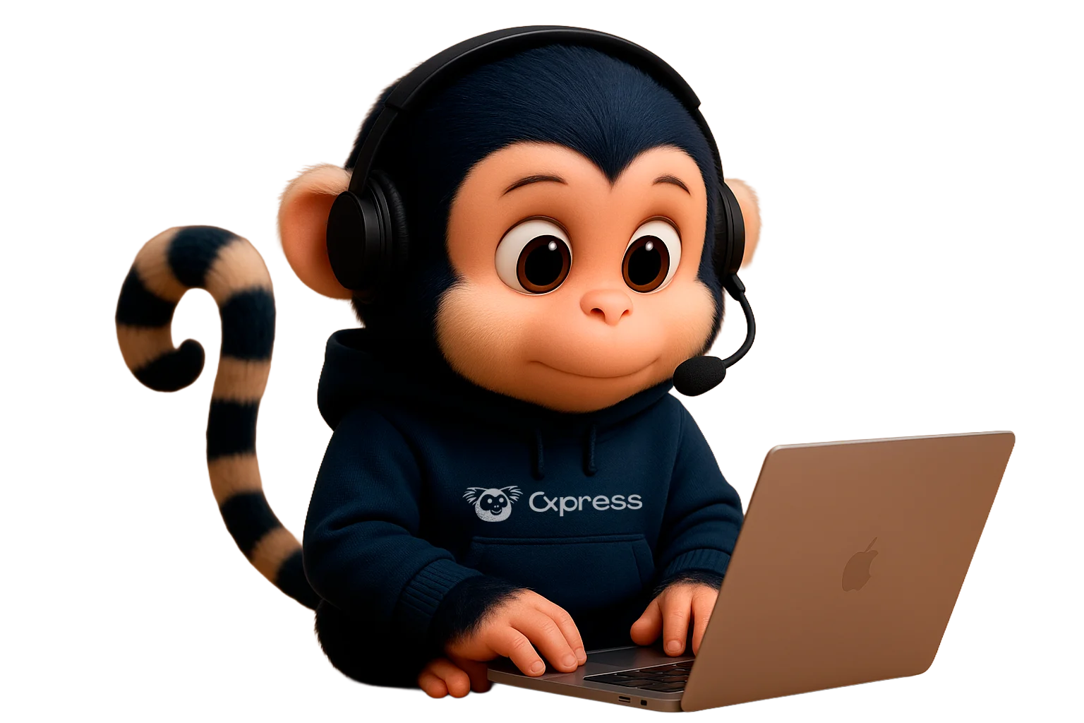 Samir, mascote da Cxpress, sentado com um laptop